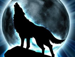 Spirit