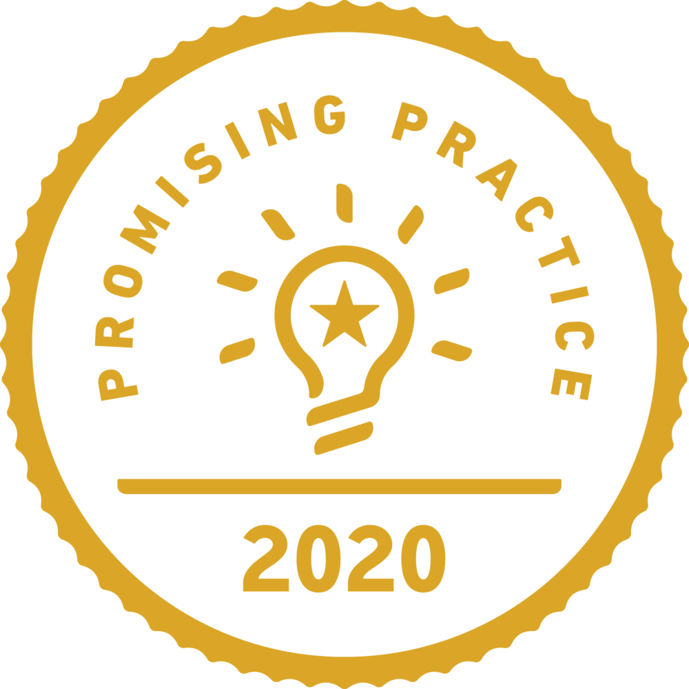 Promising Practice Logo