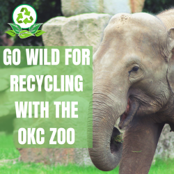 OKC ZOO AND PEPSI VENDING MACHINE ART CONTEST