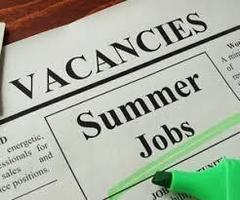 Summer Job Opportunity