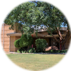 John Adams Elementary